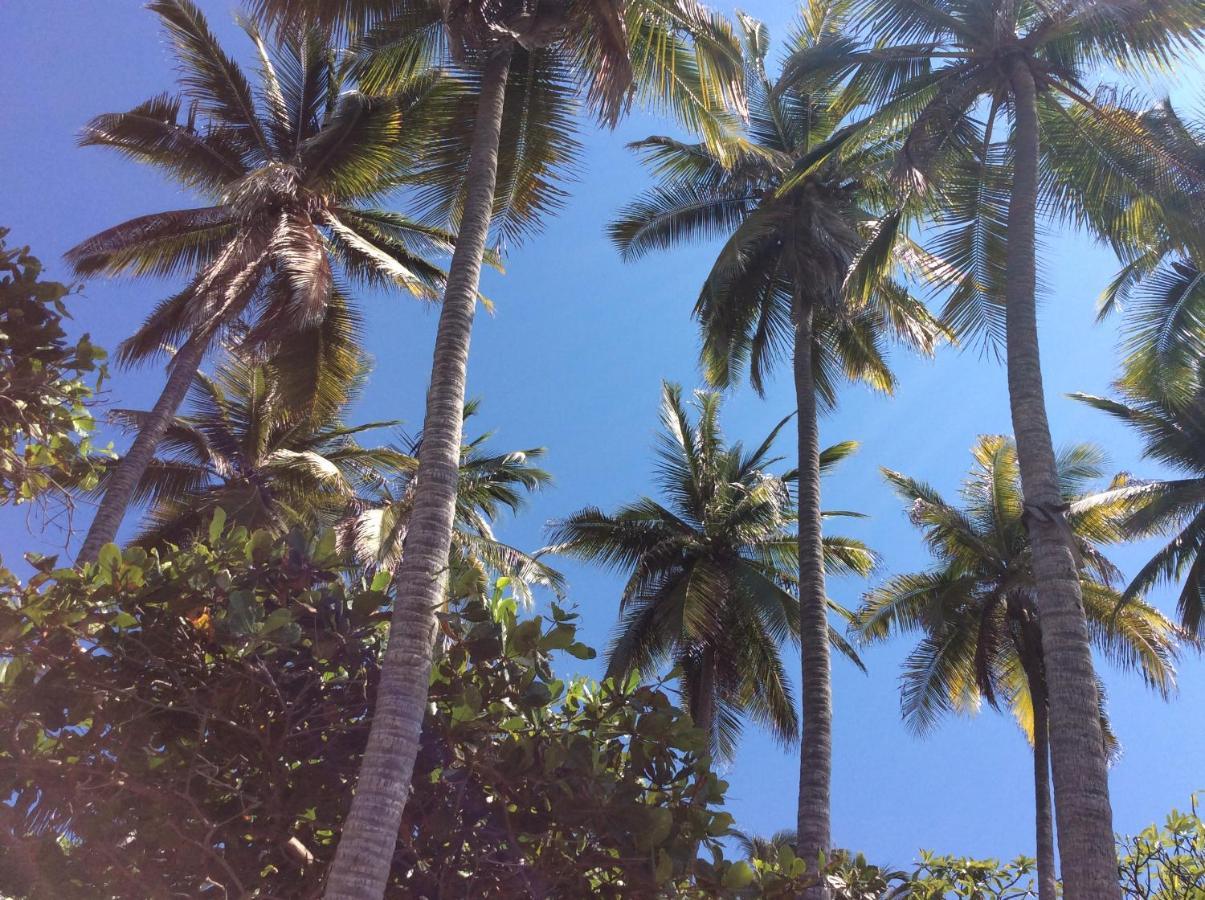 Donde Mira El Sol, Promo Primavera Hasta 50 Por Ciento (Adults Only) Acapulco Exterior foto
